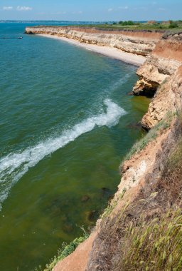Ukrayna 'nın Berezan adasında yaban bozkır bitkileriyle kaplı dik kayalık ve kabuklu kaya kıyıları.