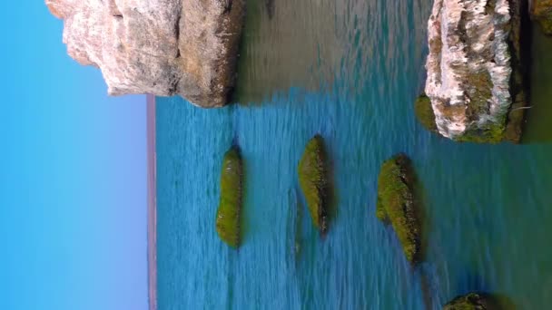 Природний Ландшафт Зелені Водорості Ентероморф Скелях Біля Берега Хаджибейського Лиману — стокове відео