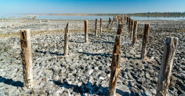 Sığ Kuyalnik haliçleri, eski tahta sütunlar, sudan tuz çıkarmak.