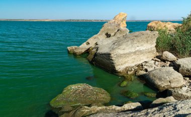 Doğal manzara, Ukrayna 'nın güneyindeki Khadzhibey nehrinin kıyısındaki kayalıklarda yeşil Enteromorpha algleri.