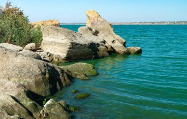 Doğal manzara, Ukrayna 'nın güneyindeki Khadzhibey nehrinin kıyısındaki kayalıklarda yeşil Enteromorpha algleri.