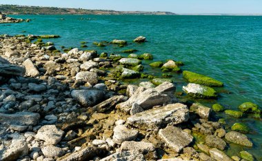 Doğal manzara, Ukrayna 'nın güneyindeki Khadzhibey nehrinin kıyısındaki kayalıklarda yeşil Enteromorpha algleri.