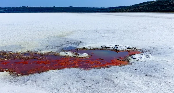 Hypersaline water with red algae Dunaliella and ciliates in the dried Kuyalnik Estuary, self-precipitating table salt around