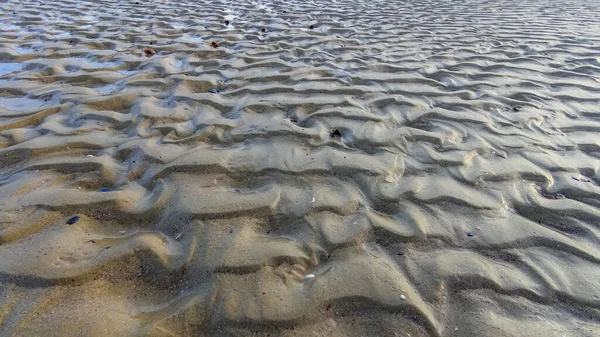 Waves on a muddy bottom in a sea channel at low tide, Ukraine