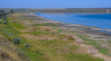 Tuzlu Tiligul haliçinin kıyıları Ukrayna 'nın vahşi su kuşları için bir yuva ve beslenme yeridir.