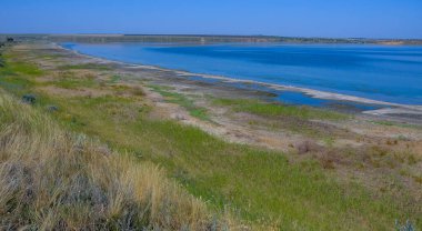 Tuzlu Tiligul haliçinin kıyıları Ukrayna 'nın vahşi su kuşları için bir yuva ve beslenme yeridir.
