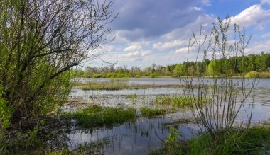 Bulutlar Pripyat nehirde, Dinyeper Nehri, Ukrayna'nın kolu yansıması
