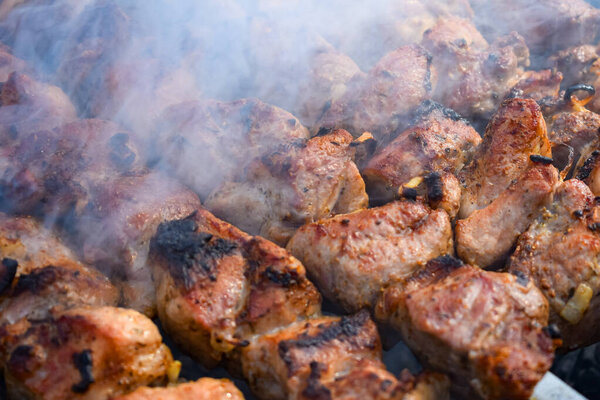 Pork meat is fried on smoking coals in the grill