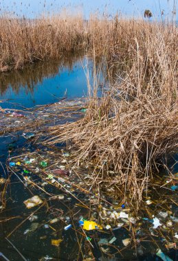 Hadzhibeysky 'nin kıyısındaki plastik çöpler. Rezervuarın ötrofikasyonu, ekoloji sorunu