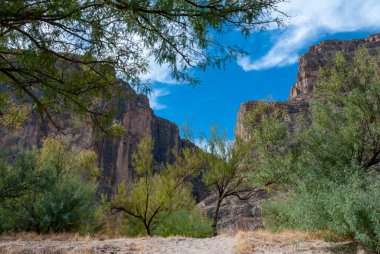 Big Bend Ulusal Parkı 'ndaki Santa Elena Kanyonu manzarası. Rio Grande Nehri 'nden dik kayalıklar yükseliyor