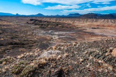 Kuraklığa dayanıklı kaktüsleri, yuccaları ve Teksas 'ın Big Bend NP' inde agavları olan bir çöl manzarası.