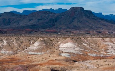 Kuraklığa dayanıklı kaktüsleri, yuccaları ve Teksas 'ın Big Bend NP' inde agavları olan bir çöl manzarası.