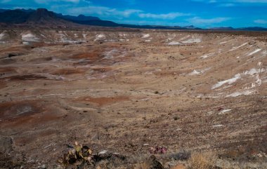 Kuraklığa dayanıklı kaktüsleri, yuccaları ve Teksas 'ın Big Bend NP' inde agavları olan bir çöl manzarası.