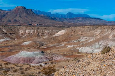 Kuraklığa dayanıklı kaktüsleri, yuccaları ve Teksas 'ın Big Bend NP' inde agavları olan bir çöl manzarası.