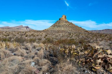 Kuraklığa dayanıklı kaktüsleri, yuccaları ve Teksas 'ın Big Bend NP' inde agavları olan bir çöl manzarası.