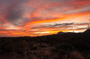 Teksas 'taki Big Bend Ulusal Parkı' nda kızıl gün batımı çöle döndü.