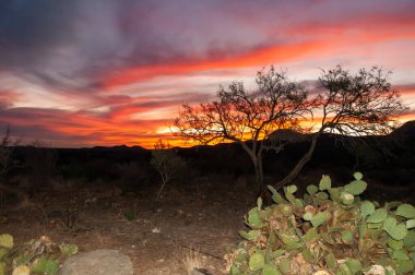 Teksas 'taki Big Bend Ulusal Parkı' nda kızıl gün batımı çöle döndü.