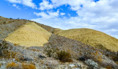 Kaliforniya çölündeki tepeler, çeşitli renklerdeki kil oluşumlarından. Çöldeki bitki örtüsü