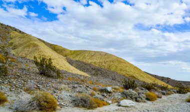 Kaliforniya çölündeki tepeler, çeşitli renklerdeki kil oluşumlarından. Çöldeki bitki örtüsü