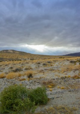 Bulutlu bir günde taş vadi çöl bitkisi ve kaktüsüyle kaplanmış, arka planda dağlar, CA
