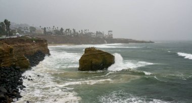 Seabirds on a coastal cliff during a storm, Pacific Ocean, Malibu area, California