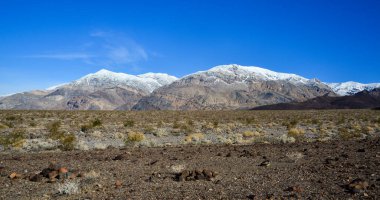 Kaliforniya 'nın kayalık çöllerinde çöl bitkileri ve kaktüslerle kaplı bir vadi manzarası, arka planda dağlar.