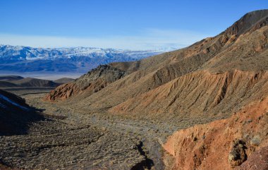 Kaliforniya 'nın kayalık çöllerinde çöl bitkileri ve kaktüslerle kaplı bir vadi manzarası, arka planda dağlar.