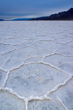 Death Valley Ulusal Parkı, Tuzlu Kil, Kaliforniya. Çatlamış ve şişmiş tuzlu düz tuz vadisi, ölü tuz manzarası