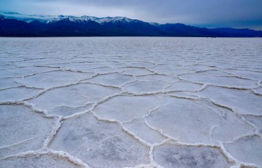 Death Valley Ulusal Parkı, Tuzlu Kil, Kaliforniya. Çatlamış ve şişmiş tuzlu düz tuz vadisi, ölü tuz manzarası