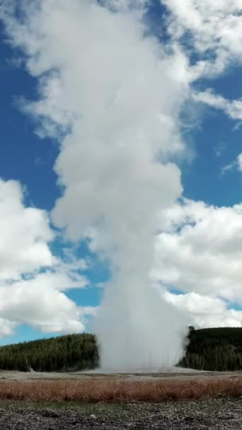 ガイザー オールド フェイスフルは アメリカ合衆国ワイオミング州のイエローストーン国立公園で噴火した — ストック動画