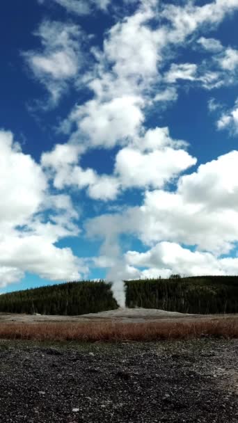 Geyser Old Faithful Erupts Yellowstone National Park Wyoming Usa — Stock video