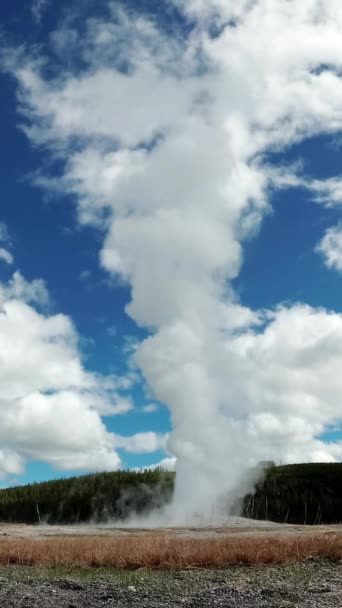在美国怀俄明州的黄石公园里 盖泽老忠实地喷发着 — 图库视频影像