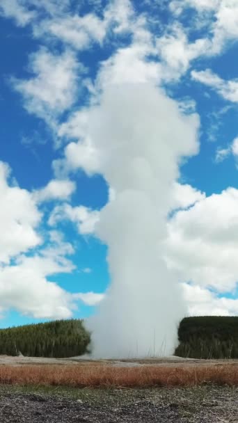 Geyser Old Faithful Erutta Nel Parco Nazionale Yellowstone Nel Wyoming — Video Stock