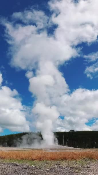 Извержения Гейзера Старого Верного Йеллоустонском Национальном Парке Вайоминге Сша — стоковое видео
