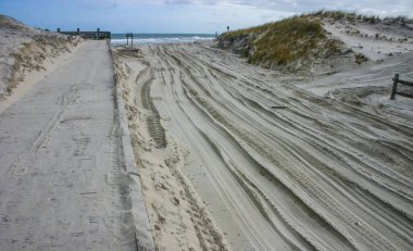 Okyanus kıyısındaki kum tepelerinin arasında tekerlek izleri, sahil bitkilerinin tahrip edilmesi. Ada Plajı Eyalet Parkı