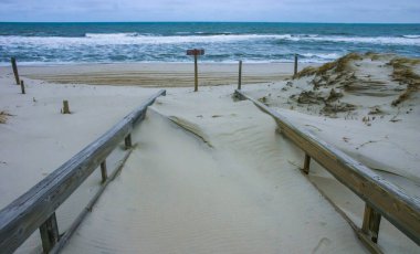 Kilometrelerce kum tepeleri ve beyaz kumlu plajlar deniz bitkilerine ve çeşitli vahşi yaşama yaşam alanı sunuyor. Bu yaşam neredeyse binlerce yıl öncesiyle aynı, Island Beach State Park.