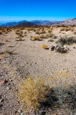 Kaliforniya 'daki Ölüm Vadisi Ulusal Parkı yakınlarındaki vadi dağlarında, kayalık çöldeki çorak çöl bitkisi.