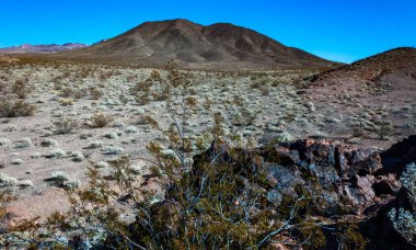 Kaliforniya 'daki Ölüm Vadisi Ulusal Parkı yakınlarındaki vadi dağlarında, kayalık çöldeki çorak çöl bitkisi.