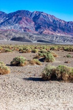 Kuru sarı kil güneşte çatladı Kaliforniya çölünde kumla, Ölüm Vadisi Ulusal Parkı, Kaliforniya