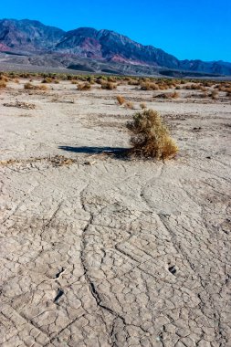 Kuru sarı kil güneşte çatladı Kaliforniya çölünde kumla, Ölüm Vadisi Ulusal Parkı, Kaliforniya