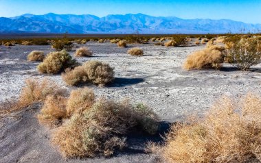 Kuru sarı kil güneşte çatladı Kaliforniya çölünde kumla, Ölüm Vadisi Ulusal Parkı, Kaliforniya
