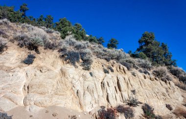 Kozalaklı ağaçlar ve diğer kuraklığa dayanıklı bitkiler Sierra Nevada Dağları, Kaliforniya, ABD 'deki geçitteki dağın kil ve taş kayalarında yetişir.