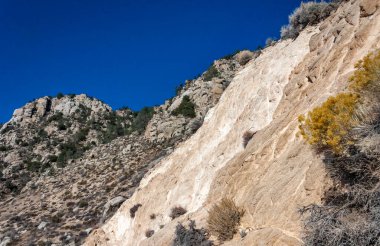 Kozalaklı ağaçlar ve diğer kuraklığa dayanıklı bitkiler Sierra Nevada Dağları, Kaliforniya, ABD 'deki geçitteki dağın kil ve taş kayalarında yetişir.