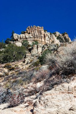Kozalaklı ağaçlar ve diğer kuraklığa dayanıklı bitkiler Sierra Nevada Dağları, Kaliforniya, ABD 'deki geçitteki dağın kil ve taş kayalarında yetişir.