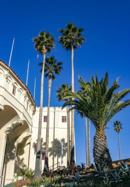 Avalon, Catalina Adası, Kaliforniya - 24 Kasım 2009: Casino ve ABD 'nin Catalina Adası' ndaki Avalon kasabasında bulunan Phoenix kanaryasındaki büyük palmiye ağaçları  