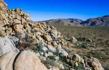 Çöl taşı manzarası Joshua Tree, Büyük Kayalar ve Yucca Brevifolia Mojave Çölü, Joshua Tree Ulusal Parkı, California