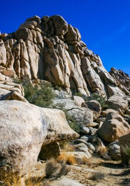 Çöl taşı manzarası Joshua Tree, Büyük Kayalar ve Yucca Brevifolia Mojave Çölü, Joshua Tree Ulusal Parkı, California