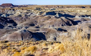 Petrified Forest Ulusal Parkı, Mavi Mesa, AZ 'deki eşsiz mavi renkli çorak arazinin çarpıcı manzarası.