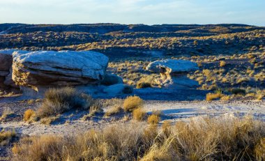 Çöl manzarası, Arizona Çölü 'ndeki Kızıl Tortulu Kaya Kayaları.