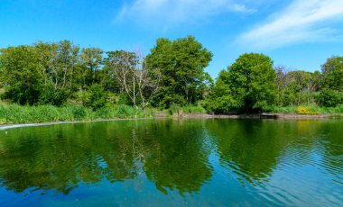Açık mavi gökyüzü ile güneşli bir günde, kıyıdaki ağaçları yansıtan yeşil göl, Odessa
